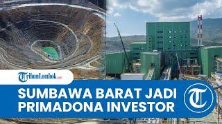 Kabupaten Sumbawa Barat Makin Diminati Oleh Investor Asing dan Dalam Negeri