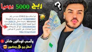 اكسب 500 جنيه يوميًا من موقع Meta egg | السحب فودافون كاش + إثبات سحب 2500 جنيه 