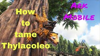 How To Tame Thylacoleo Easily || Ark Unlimited Survival Mobile Edition #arkmobile