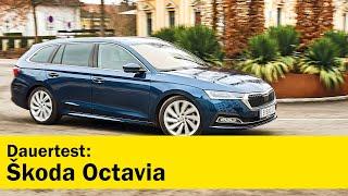 Skoda Octavia Combi - Dauertest-Bericht | ÖAMTC auto touring