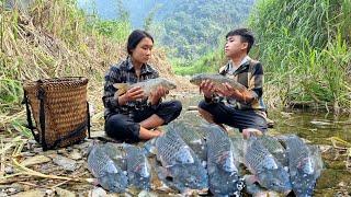 Harvest natural giant fish from shallow streams sold for sale - Cooking | Boy orphaned parents