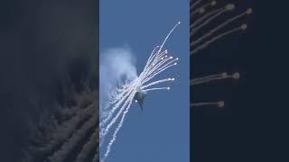 Insane F-22 Cobra and Flare Maneuver