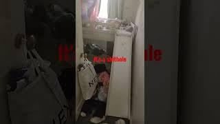 my sister's bedroom is a shithole