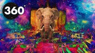 360 (VR) VIDEO - Psychedelic Safari - Summer MIND CHILL 360