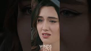 Benimle kaç Zeynep'im ️‍ | Winds of Love Episode 130 Promo #shorts #windsoflove  #turkishseries