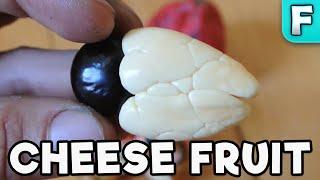 Ackee Fruit (Cheese Fruit) | Fruits You've Never Heard Of