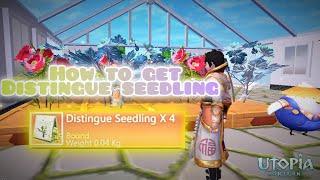 How to get distingue seedling | part 2 | @TunderWolfGaming