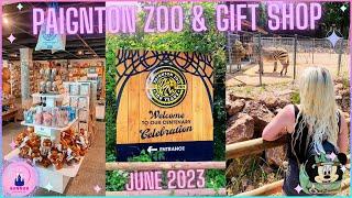 Paignton Zoo Vlog & Gift Shop Tour 100 Year Anniversary Merch Lion June 2023 Devon Torbay Review 