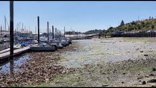 7-3-2023: Tacoma, WA: Extreme Low Tide, Steep Ferry Ramp, Impacts at Marina