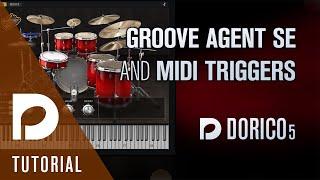 Groove Agent SE and MIDI triggers | Dorico 5