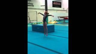 Copgc level 1/2 C routine