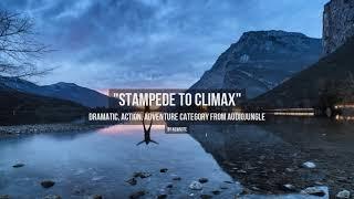 Stampede to Climax - Music from Audiojungle