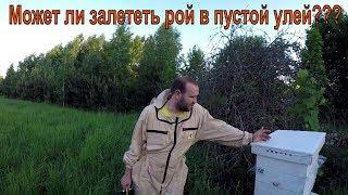 Может ли залететь рой в пустой улей??? Метим пчелиную матку без всяких приспособлений