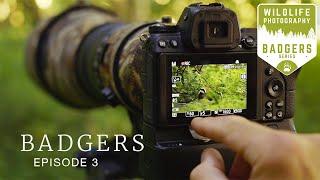 THIS IS WHY I DO WILDLIFE PHOTOGRAPHY - Badgers Ep3 | woodland photography, camouflage, nikon z6