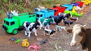 WADIDAW..!! TRUK OLENG ANGKUT SAPI LUCU WARNA WARNI BEBEK ANGSA KERBAU KAMBING AYAM KEPITING BADAK