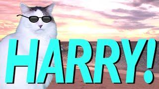 HAPPY BIRTHDAY HARRY! - EPIC CAT Happy Birthday Song