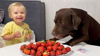 Adorable Baby Teaches Big Brother Table Manners! Cutest Ever!