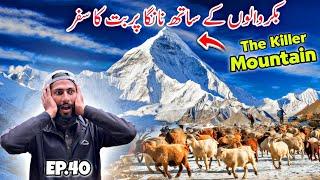  Crossing Killer Mountain Nanga Parbat | Travelling With Bakarwal in Kashmir Episode 40