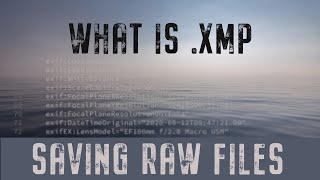 .xmp What is a .xmp File, why I keep them and how to get rid of it.