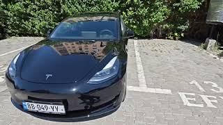 Аренда Tesla в Грузии - автопрокат Georgiacars