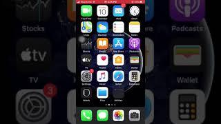 Custom font installation in IOS 13 Iphone