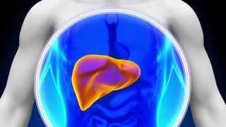 7 Telltale Signs of a Liver Problem