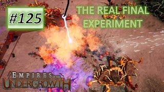 Empires of the Undergrowth #125: THE REAL FINAL - Formicarium Challenge 5 (Impossible)