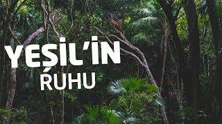 Yeşilin Ruhu | Bitkilerin Bilinmeyen Dünyası