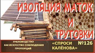 "При изоляции маток появились пчёлы-трутовки!" Наблюдения, практика, теория. Реально ли это? "СК"126