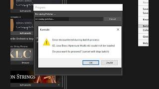 Error encountered during batch process in Kontakt FIX