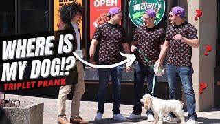 WHERE IS MY DOG? Triplet Deja Vu Prank