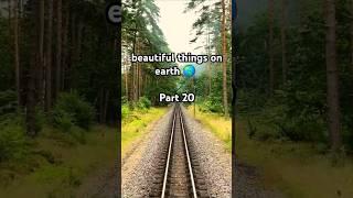 beautiful things on earth  Part 20 #outdoor #travel #nature #animals #tiktok #shorts