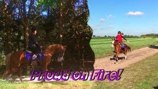 An amazing outside ride!  |  Just Horse Friends