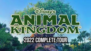 Disney's Animal Kingdom - 2022 Walkthrough with Ride POVs