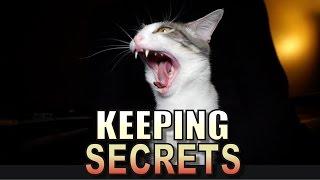 Talking Kitty Cat 53 - Keeping Secrets