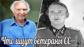 "Наглость". Что немецкие ветераны ищут в России? Ветераны Вермахта и СС ведут поиски.