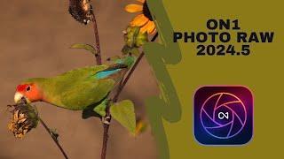 New FREE Update - ON1 Photo Raw 2024.5 #on1