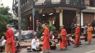 Alms giving ceremony in Luang Prabang, Laos