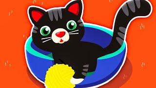 Little Kitty Stan | Kids Hits | Best Nursery Rhymes & Kids Songs