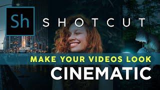 5 Tips for Getting the Cinematic or Filmic Look on Shotcut Video Editor - FREE LUTs
