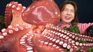 [Mukbang ASMR] LEGEND! 16KG Biggest Octopus Eatingshow eatingsounds realsound Ssoyoung