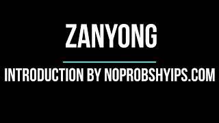 ZanYong - Introduction - SCAM