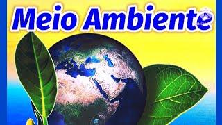 Vídeo Aula - O MEIO AMBIENTE - Conceito, Importância, Problemas e Preservação.