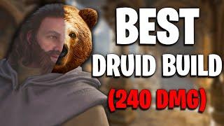 BEST DRUID BUILD | DARK AND DARKER