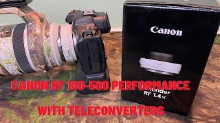 Canon RF 100-500mm Lens Performance with Teleconverters