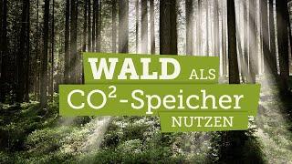 Wie macht man den Wald klimafit?