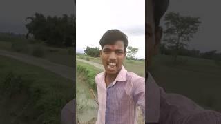 Rupa Tu a Gai Gujjar ka sarvnash karne #youtubeshorts #funny #rupa #gujjucomedy 