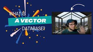 What is a vector database? Why are they critical infrastructure for #ai #applications?