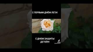 ПОЗДРАВЛЯЮ С ПЕРВЫМ ДНЁМ ЛЕТА И ДНЁМ ЗАЩИТЫ ДЕТЕЙ!!!