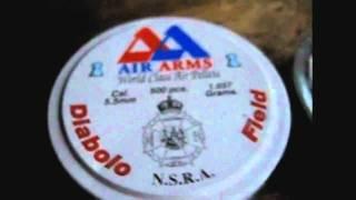 Which pellet ? Air Arms, FX or JSB ? By HeLLsMeSSnGR